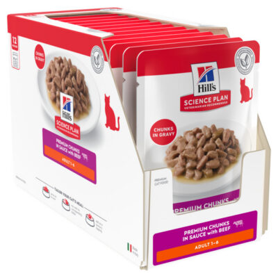 HILLS KASSI EINEKOTIKE VEIS 85G N12