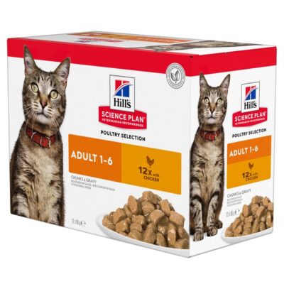 HILLS KASSI EINEKOTIKE KANA 85G N12