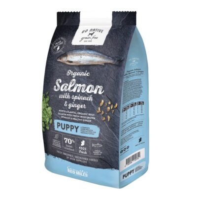 GO NATIVE KUTSIKA TÄISSÖÖT LÕHE/SPINAT/INGVER 800G