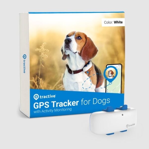 TRACTIVE GPS POSITSIONEERIMIS SEADE KOERALE VALGE
