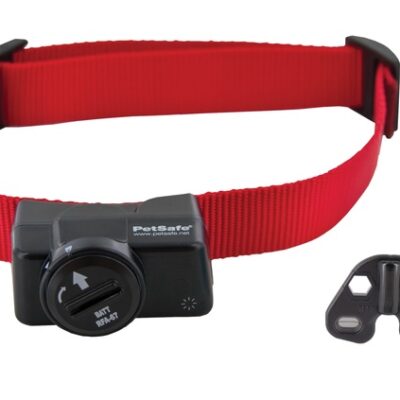 PETSAFE JUHTMEVABA PIIRDE ADD-A-DOG® LISA KAELARIHM