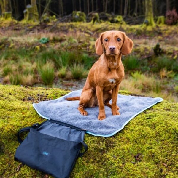 HENRY WAG REISIPESA EASY-ROLL #