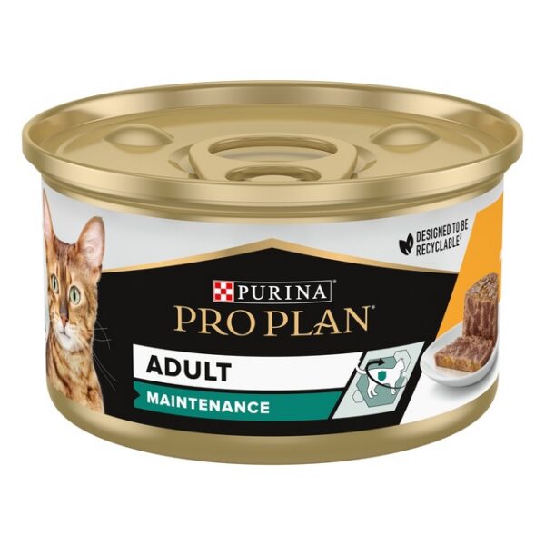 PRO PLAN KASSI PASTEET KANA 85G N1