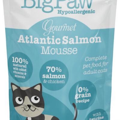 LITTLE BIGPAW KASSI EINEKOTIKE MOUSSE LÕHE 85G N1
