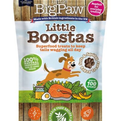 LITTLE BIGPAW KOERA MAIUS SUPERFOOD LÕHE 90G N1