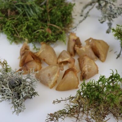 OTTOMAR KOERA MAIUS KUIVATATUD SEASÕRG 60G