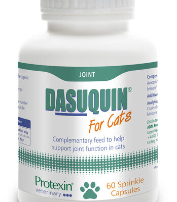 PROTEXIN DASUQUIN KASS CAPS N60