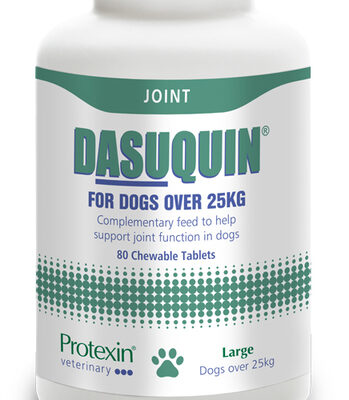 PROTEXIN DASUQUIN KOER L TBL N80