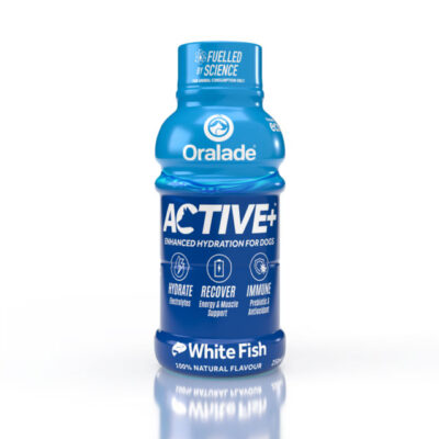 ORALADE ACTIVE JOOK KOERTELE KALAGA 250ML N1