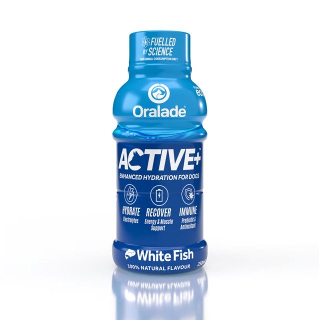 ORALADE ACTIVE JOOK KOERTELE KALAGA 250ML N1